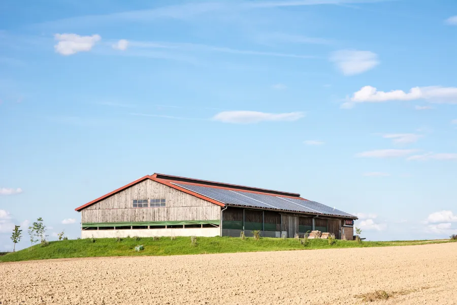 decreto mase incentivi agrivoltaico innovativo