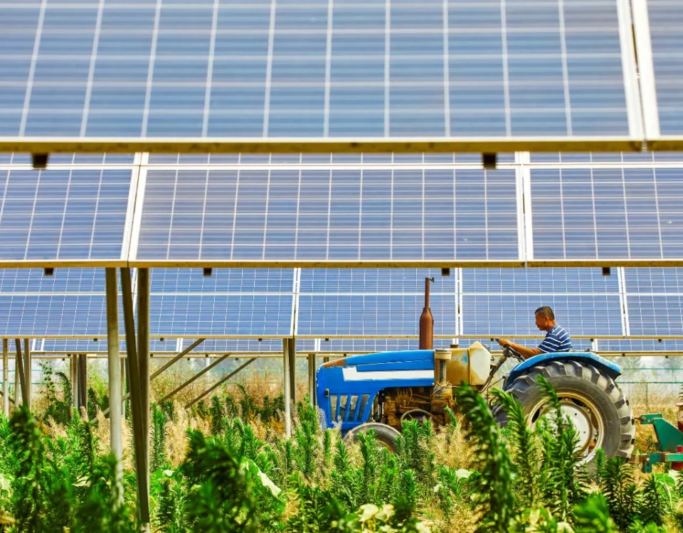 pronti incentivi agrivoltaico innovativo