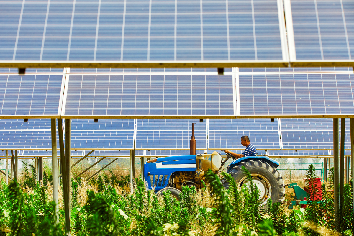 agrivoltaico a bolzano nuovo impianto