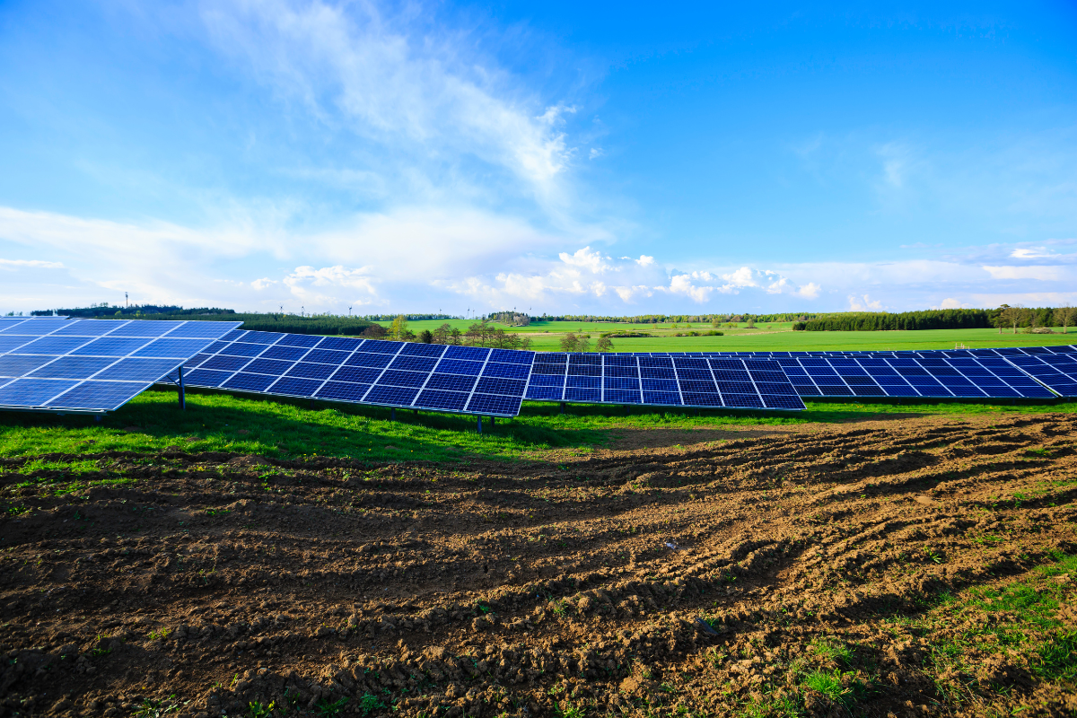 trend fotovoltaico 2025