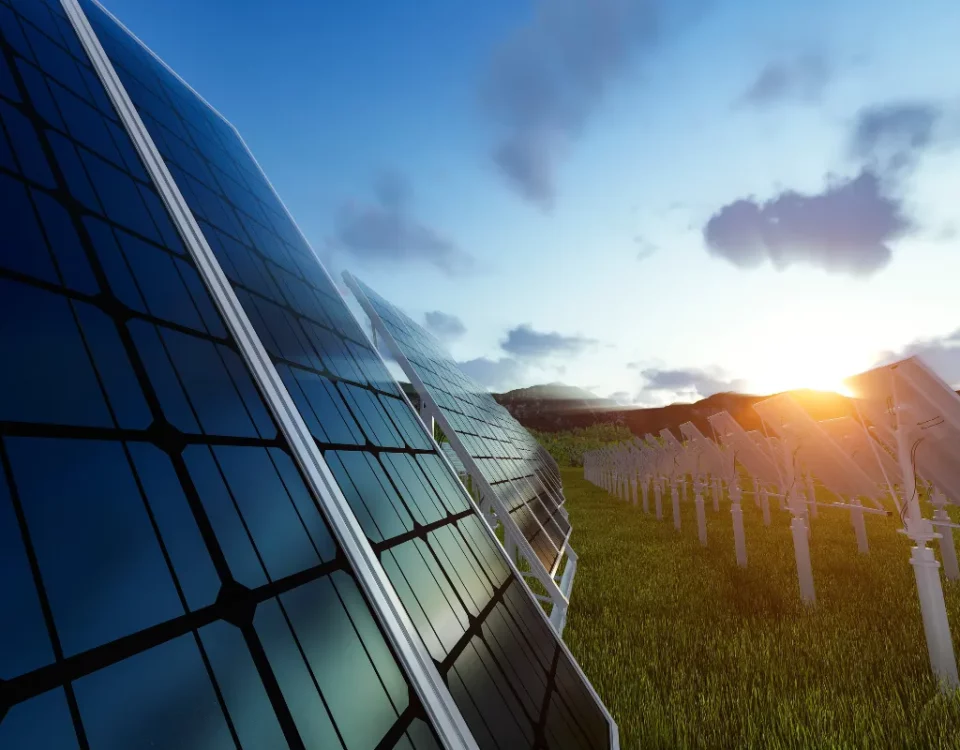 cer ascoli piceno 9 milioni