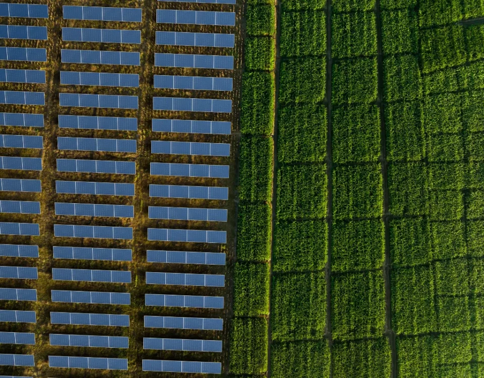 pnrr 2026 incentivi agrivoltaico comunita energetiche