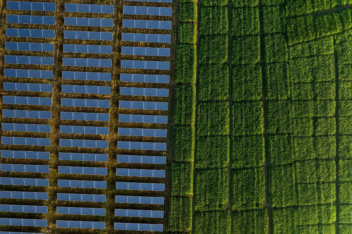 pnrr 2026 incentivi agrivoltaico comunita energetiche